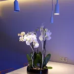 Mercure Paris Parc Des Expositions 4*
