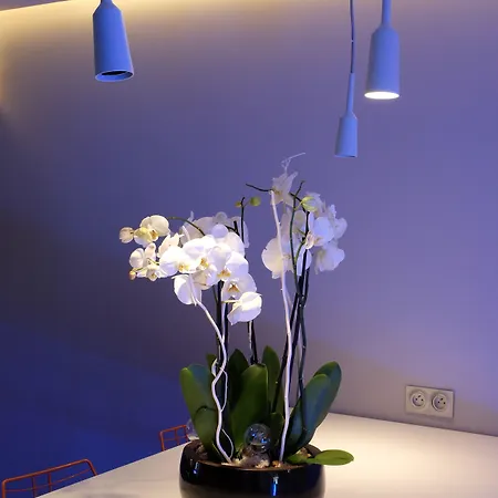Mercure Paris Parc Des Expositions 4*