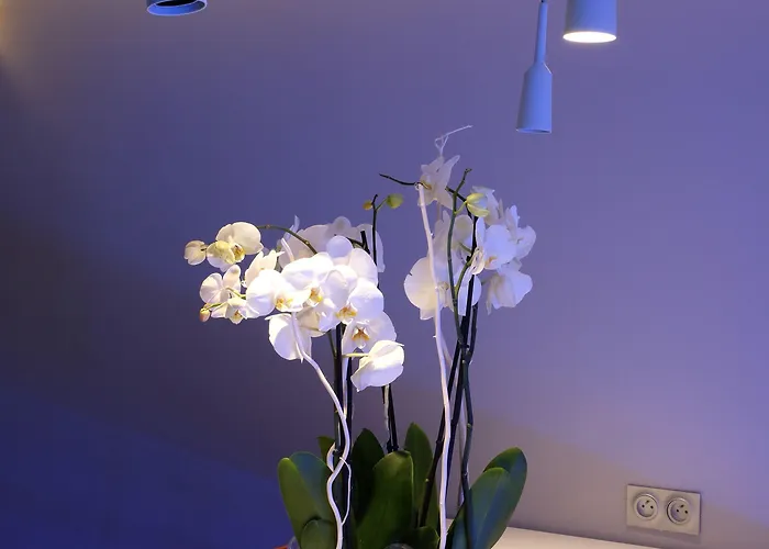 Mercure Paris Parc Des Expositions 4*